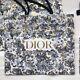Brand New 10 X Dior Shopping Gift Paper Bag 10x9x4 Xmas Limited Edition