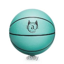 Japan Limited Edition TIFFANY Basketball Authentic Brand New