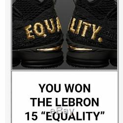 Nike Lebron 15 Equality Black Limited Edition Extremely Rare Size 10 Brand New